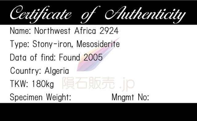 NWA2924 隕石 2.3g メソシデライト 石鉄隕石 標本 M2602