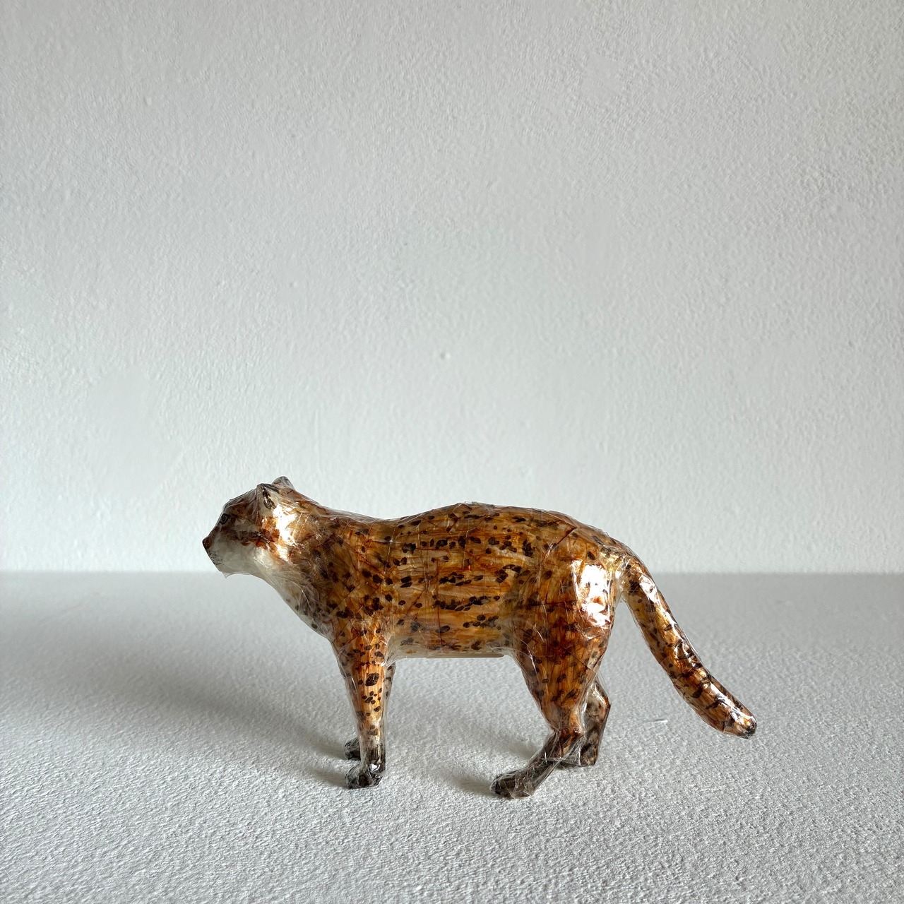 植田 楽さん／#01　ツシマヤマネコ