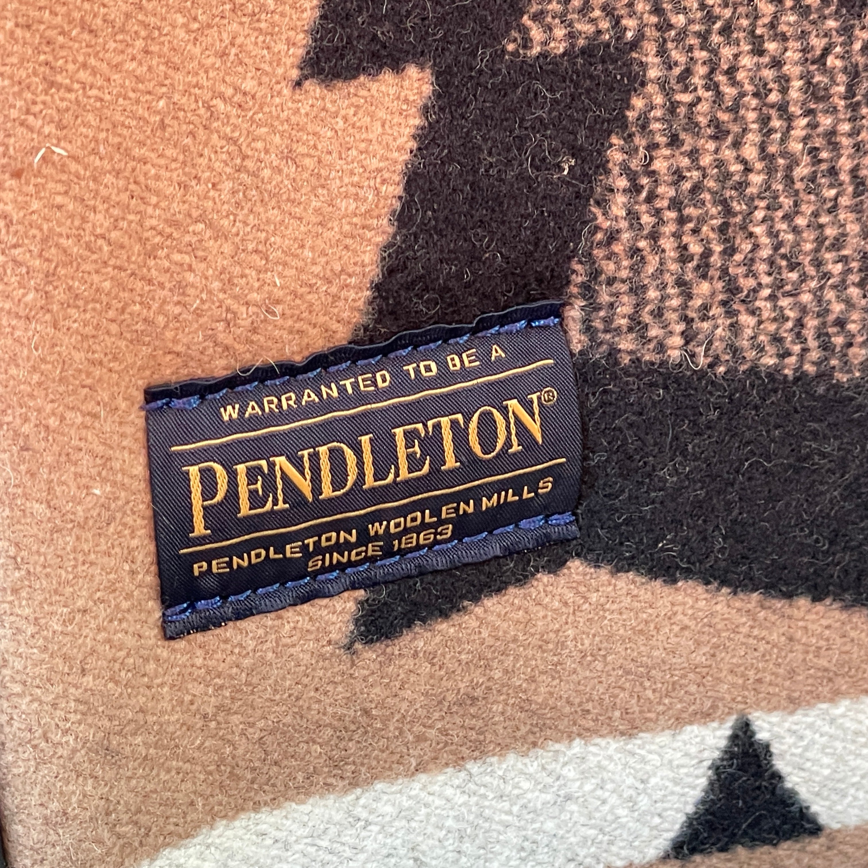 新生がむしゃらギャング団 z2zed1b 新生がむしゃらギャング団