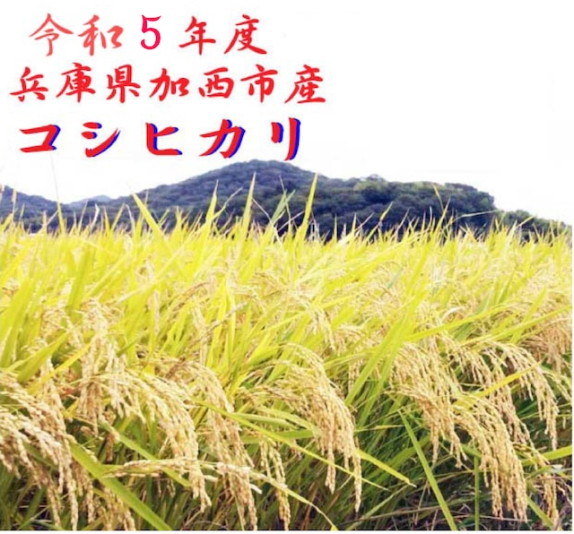 【送料無料】令和５年　兵庫県加西市産コシヒカリ10ｋｇ