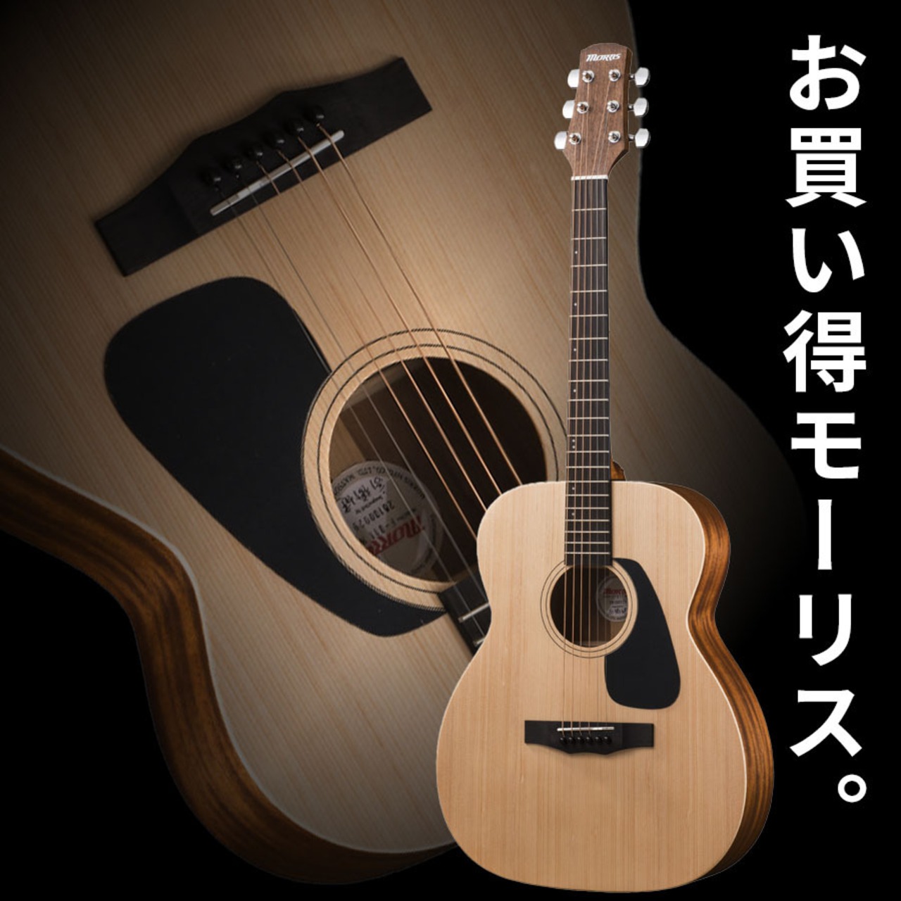 Morris F-011 (NAT) [限定特別価格]