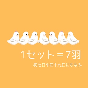 白い鳩 放鳥サービス 【葬儀・追悼】1セット(7羽)