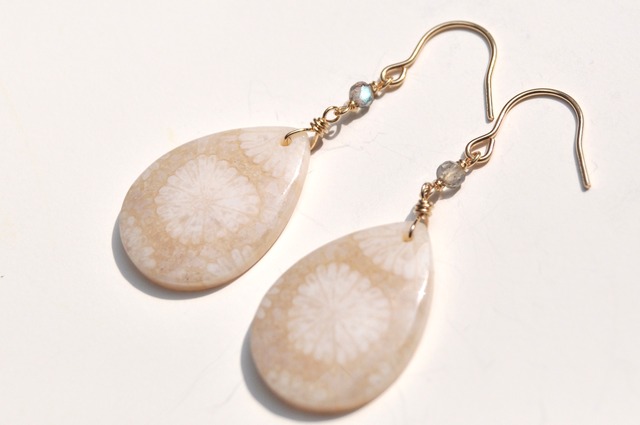 フォッシルコーラル　ラブラドルライト①ピアス