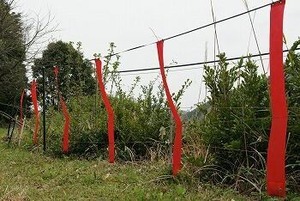 撃退シカ激臭シート3個入 4.5m用 シカ対策 激辛臭が約２倍の強力タイプ 効果は驚きの１年間！…