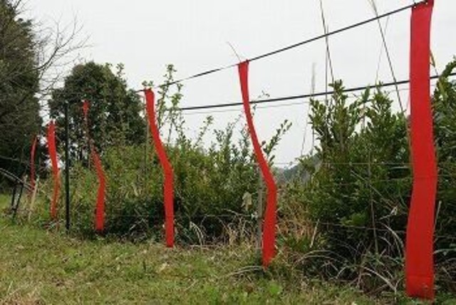 撃退シカ激臭シート3個入 4.5m用 シカ対策 激辛臭が約２倍の強力タイプ 効果は驚きの１年間！…