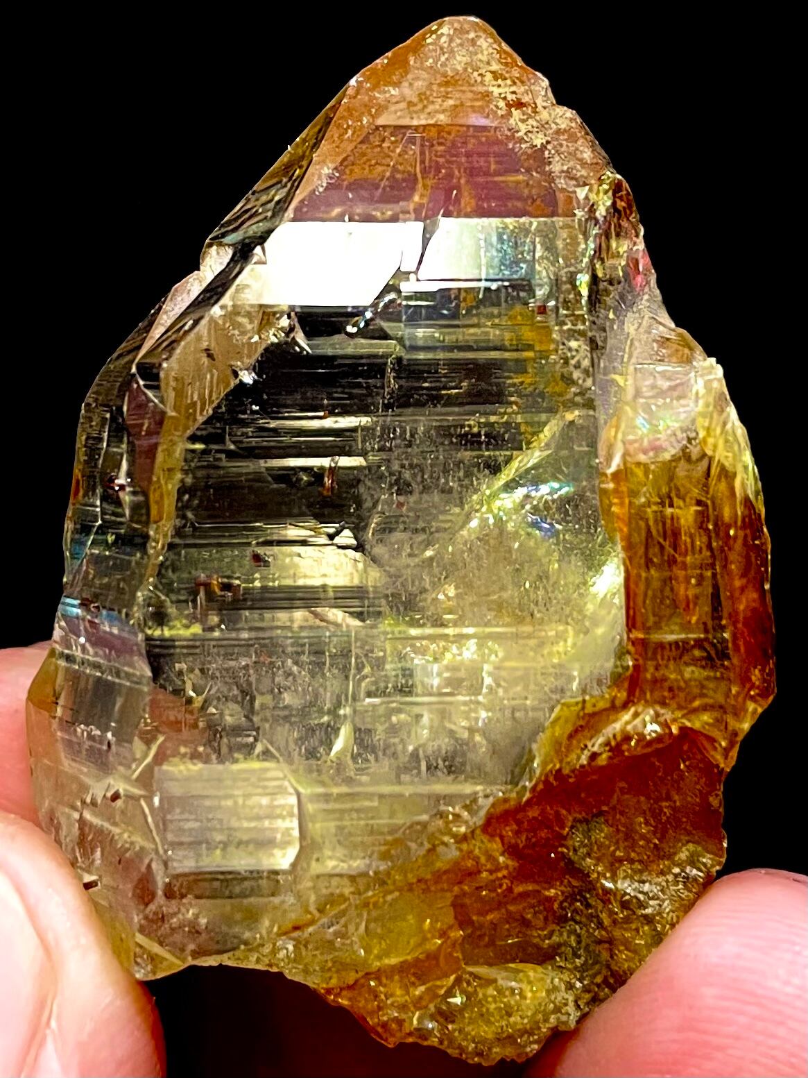 18) 天空の叡智「バローチスタン・ヒマラヤ」ゴールデンヒーラー