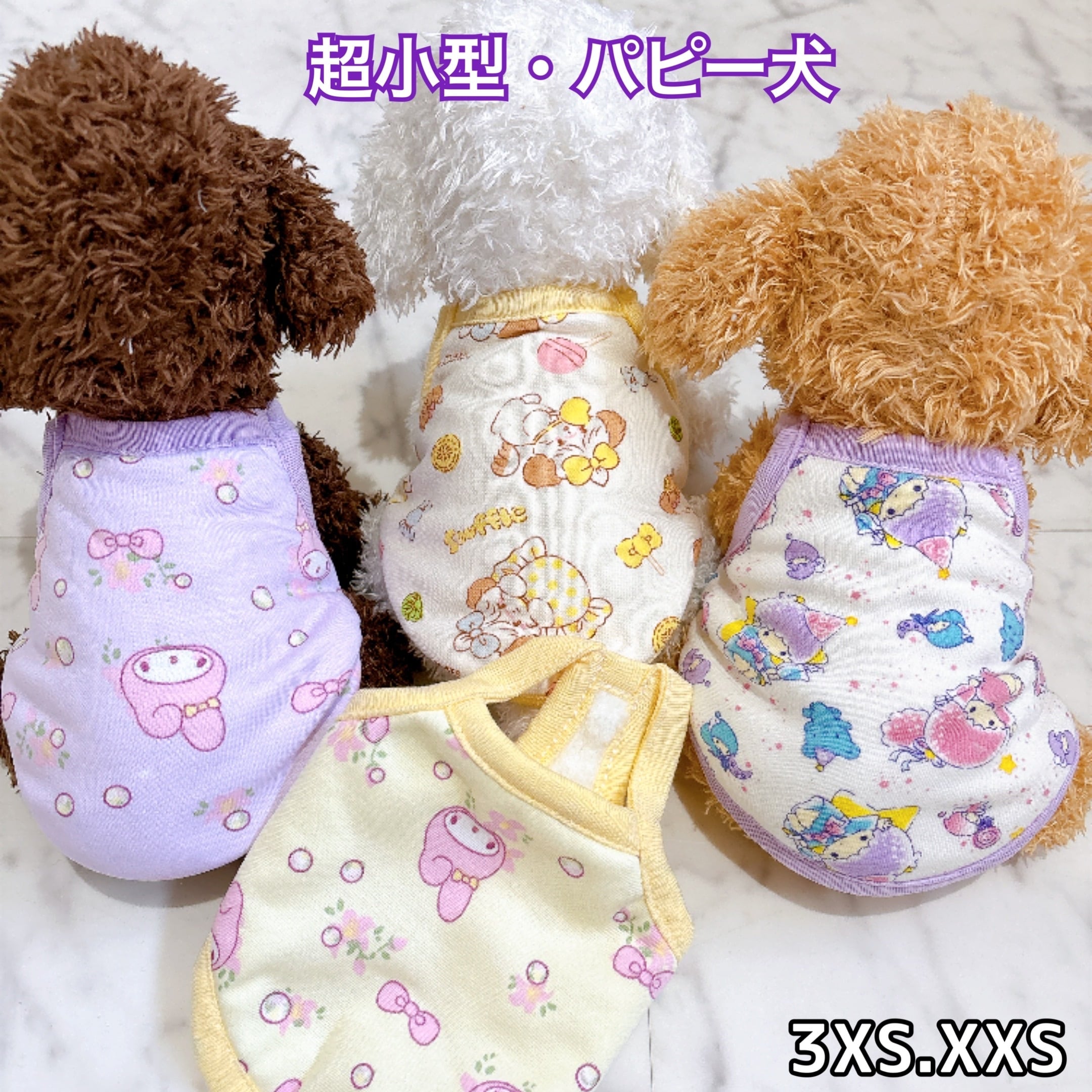 超小型犬・パピー犬 スモールサイズ | ronkichimaru(ロンキチマル