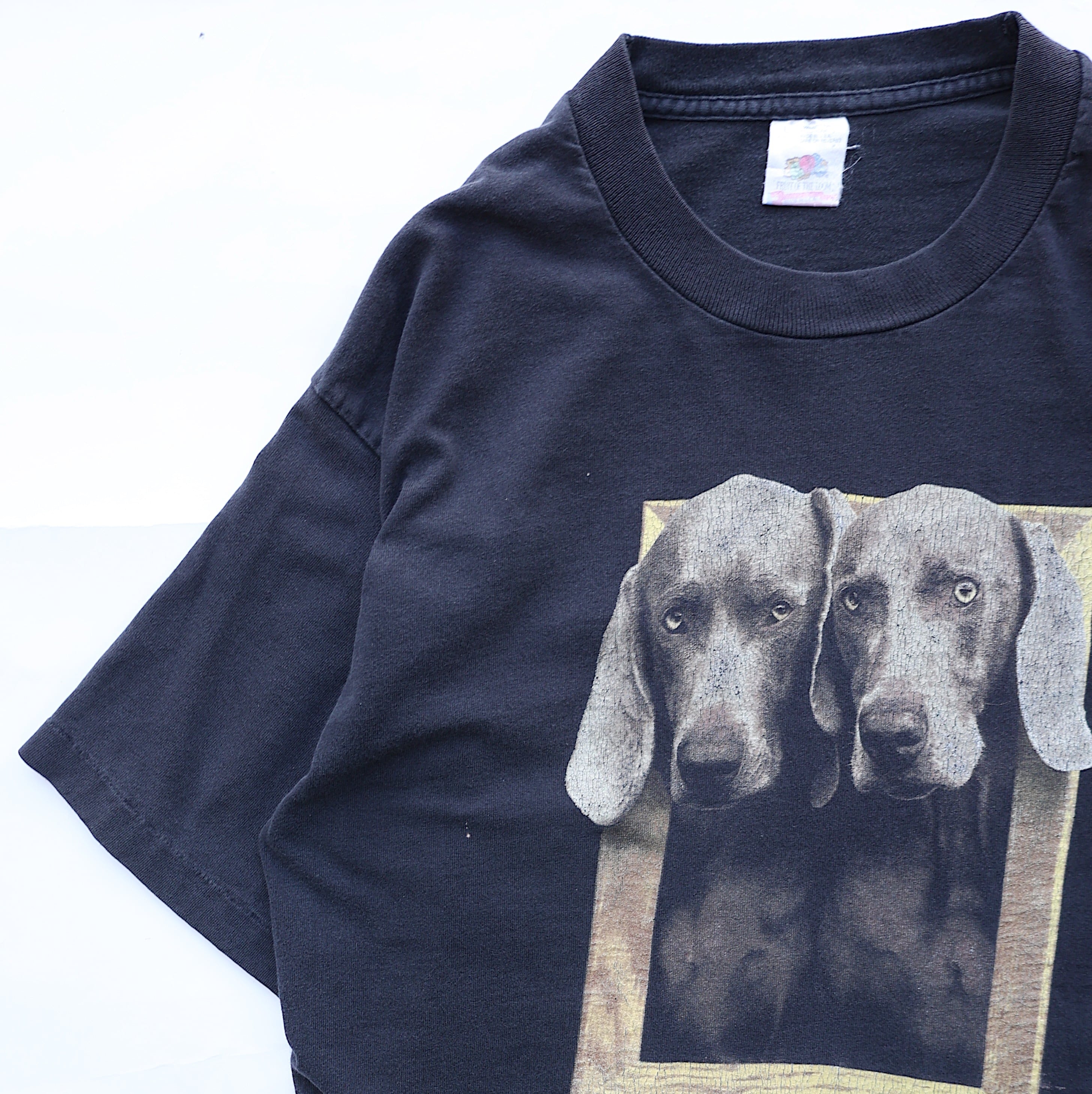 1995 WILLIAM WEGMAN ART TSHIRT | CLIMB SENDAI