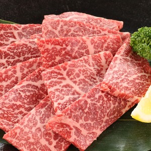 黒毛和牛 モモ・カタ焼肉用　500g