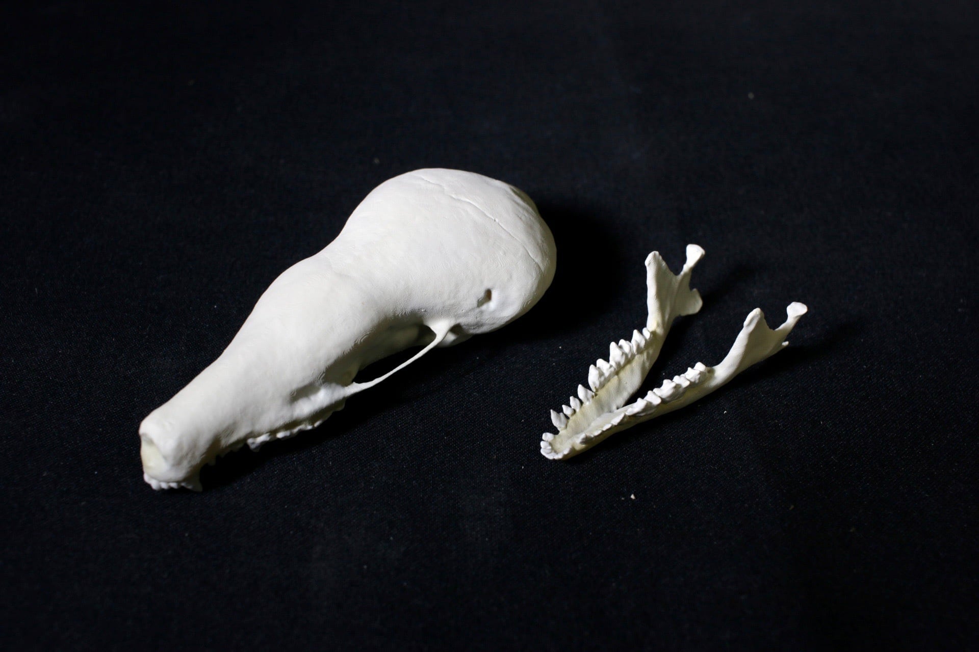 b171a8ee05eda48309891d4be155dd