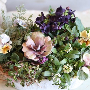 冬から春に楽しむ寄せ植え　和モダンビオラとシックカラーハボタンの北欧風ブリキの寄せ植え　届いてすぐ玄関に飾れる 　プレゼントにもオススメ　