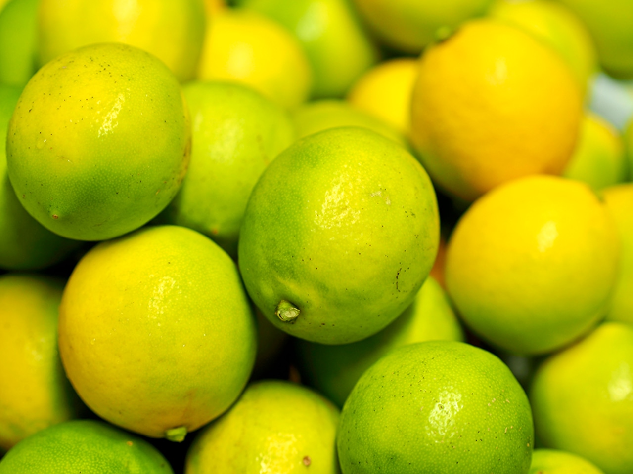 風の散歩道 レモンケーキ S 12個 送料無料 送料込み セット パウンドケーキ 常温保存 個包装お菓子 高級お菓子 スイーツお取り寄せ 誕生日 お菓子ギフト 差し入れ おしゃれ 洋菓子 スイーツ ギフト 小分け 詰め合わせ 絶品 お礼 配る 会社 職場 ギフト プレゼント 贈り お年賀、 御歳暮、クリスマスギフト 画像14