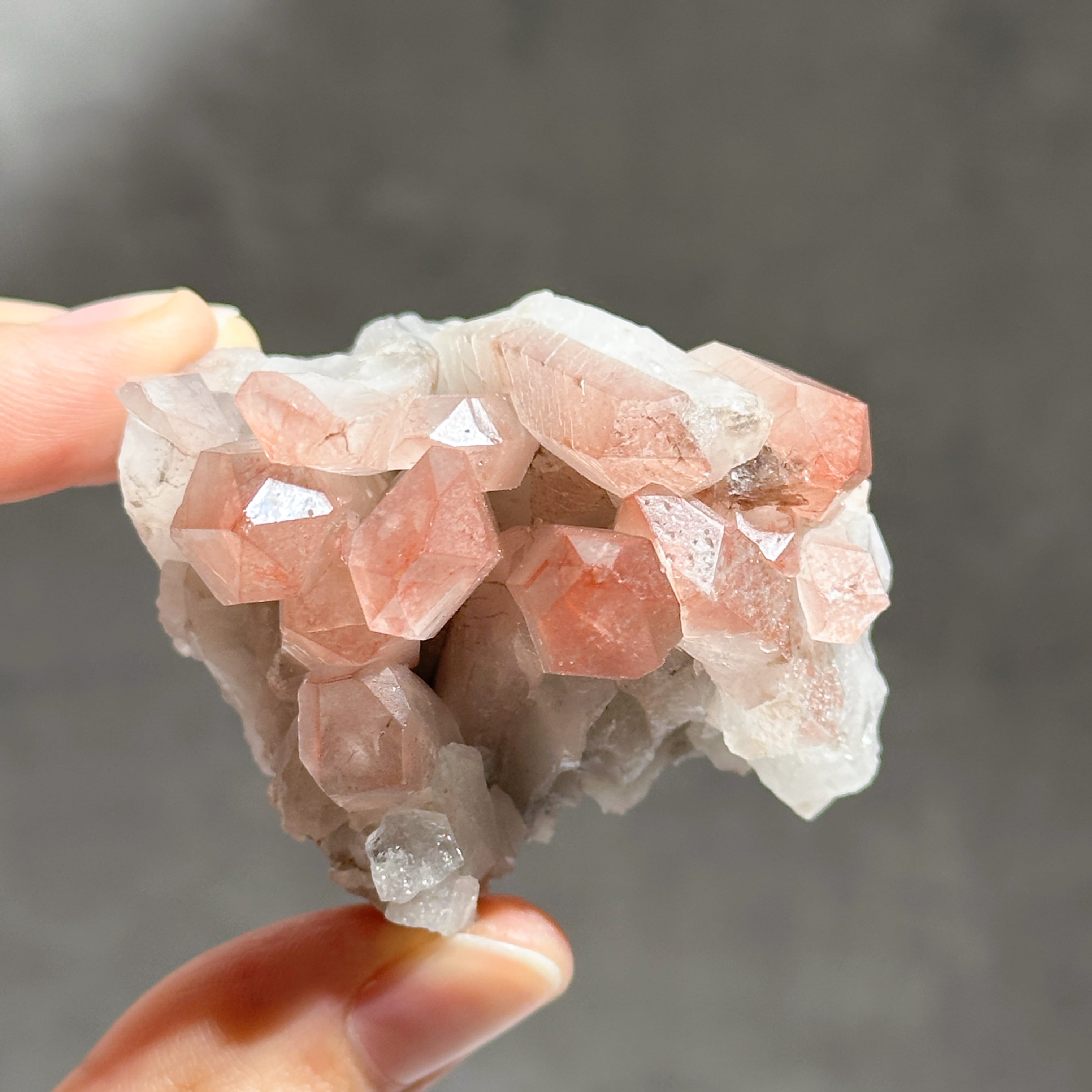 ディアマンティーナ産ピンクレムリアン クラスター 42◇ Pink Lemurian