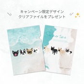 The wave Tシャツ_ホワイト×エメラルドグリーン