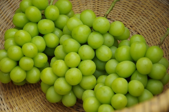 シャインマスカット ３～４房（２．０ｋｇ以上）