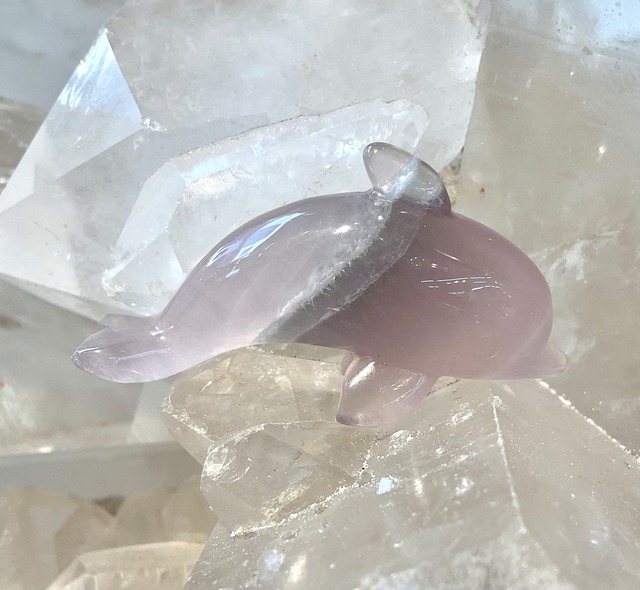 癒しを運ぶ!フローライト イルカ型  04