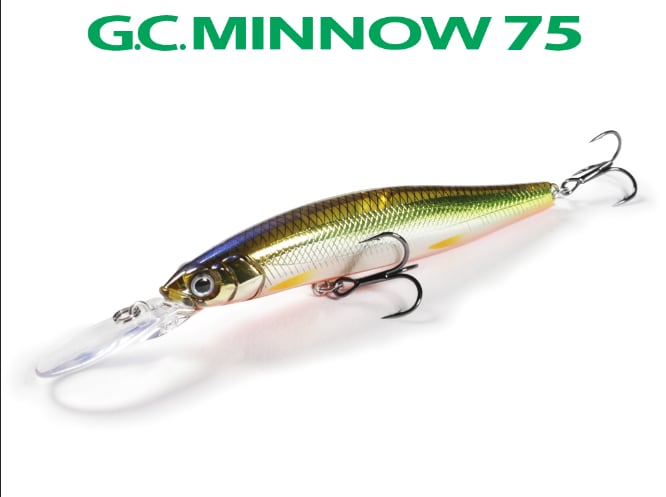 マニフォールド コバス 琵琶湖