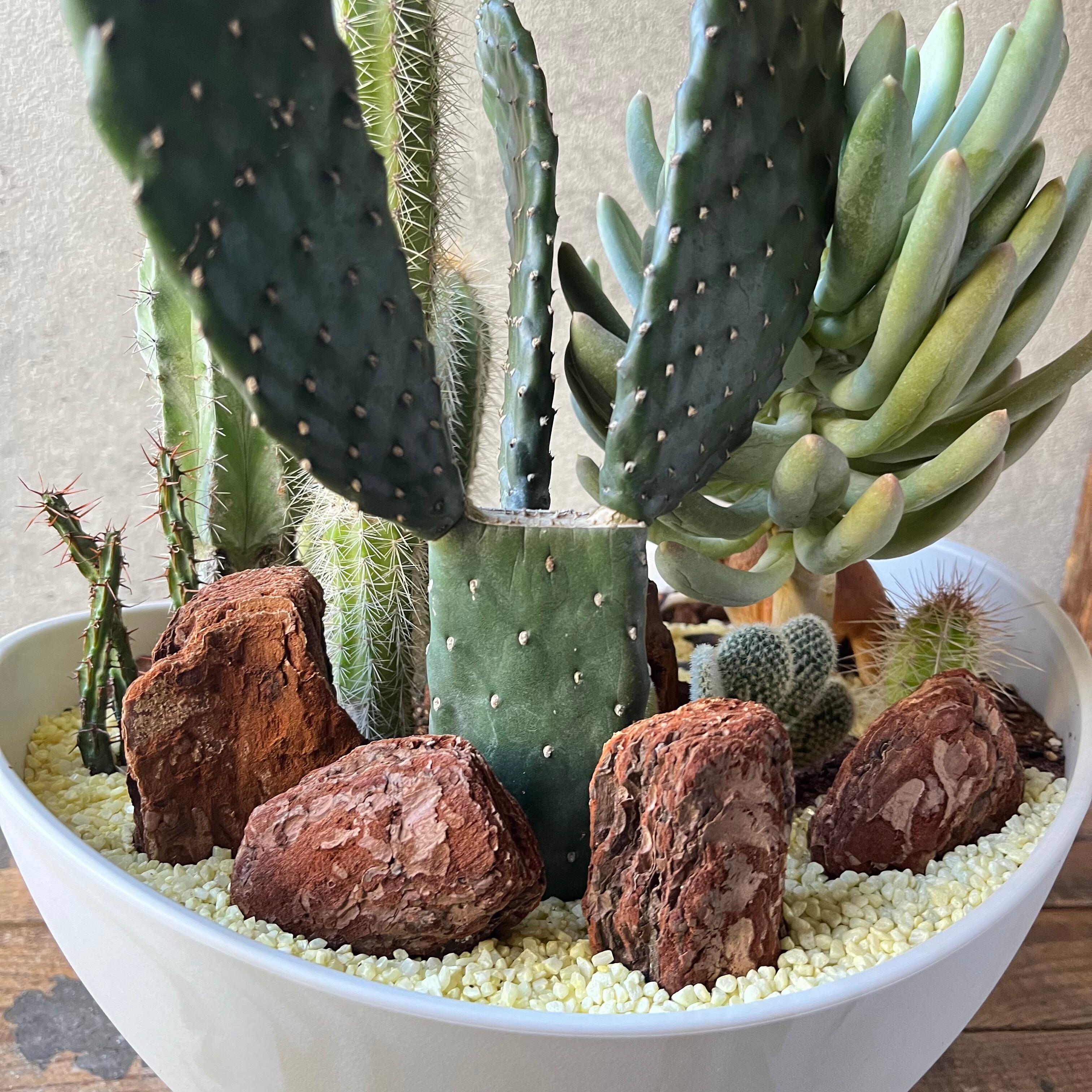 AUSTRALIA ISLANDS | SABOTEN MISSILE