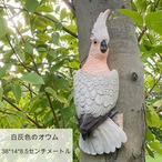 ガーデンオーナメントオウム 置物 ガーデニング 雑貨 ガーデンオブジェ 飾り インテリア アウト 庭 かわいい 鳥