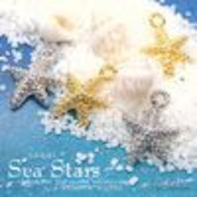 ★L&A original★Sea Star★幸運のチャーム★ヒトデチャーム★StarFish★