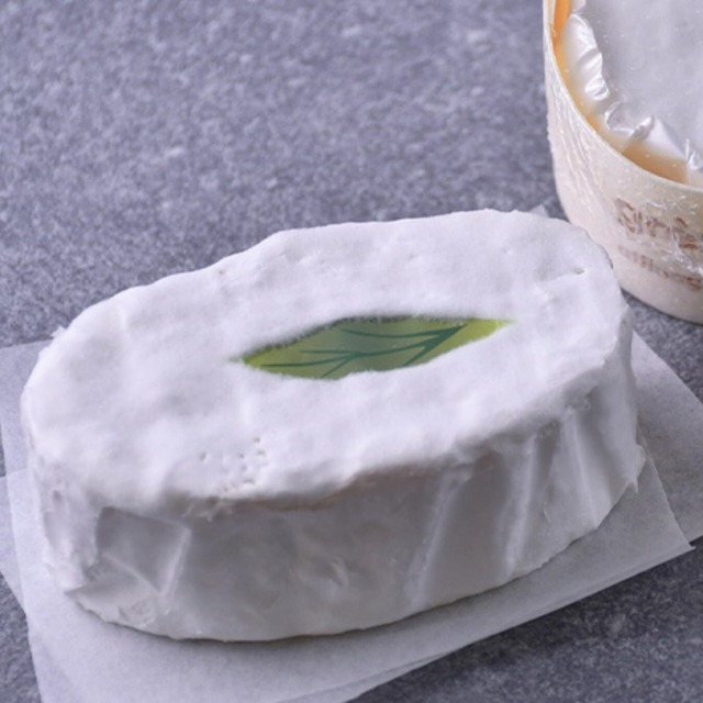 プティ グレ シャンプノア 150g 白かび チーズ White Mould Cheese Petit grès Champenois