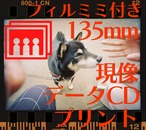 [現像+データ+プリント]:【フィルミミ】カラーネガ135mmフィルム  フィルム耳付きスキャン #パーフォレーション #フィルミミ #フィルム写真 #写真 #プリント #現像