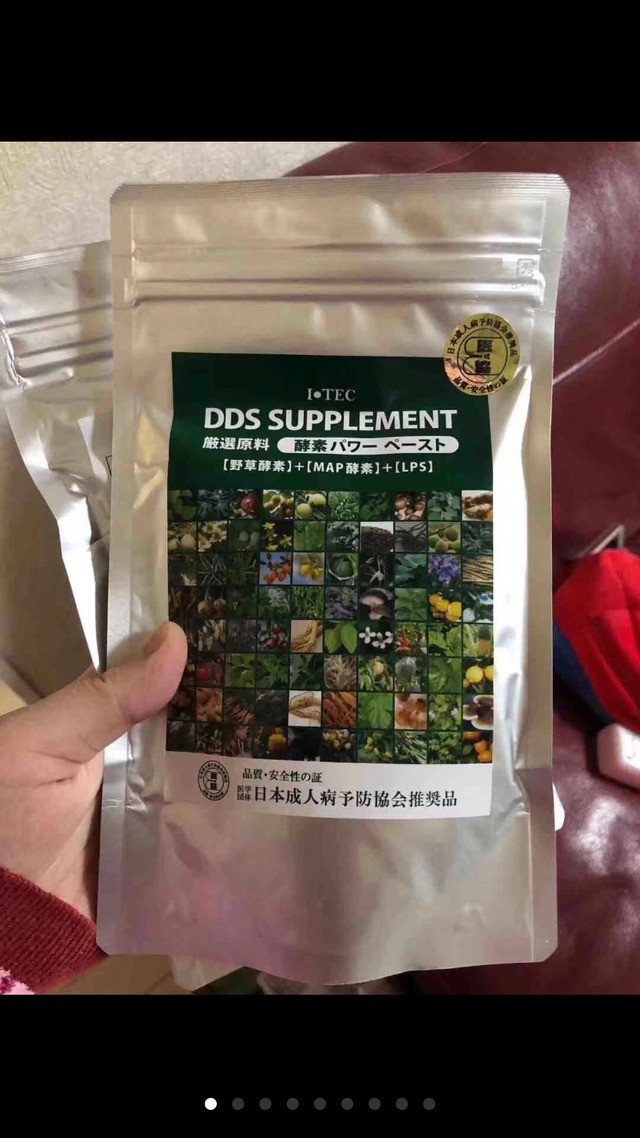 DDS SUPPLEMENT 酵素パワーペースト | DDS1646801