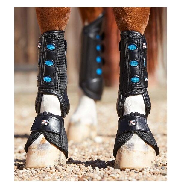 PREMIEREQUINE | 乗馬用品店 BLUENNY