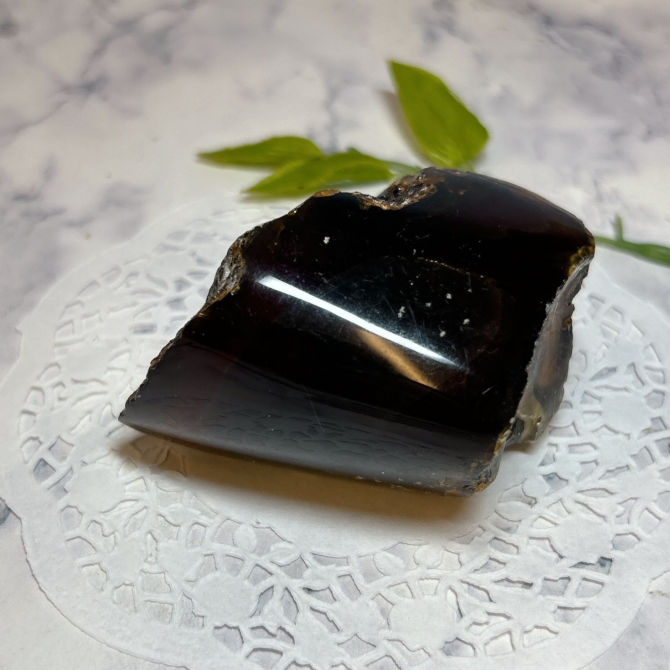 化石]琥珀・アンバー | クリスタル・ワールド御徒町店