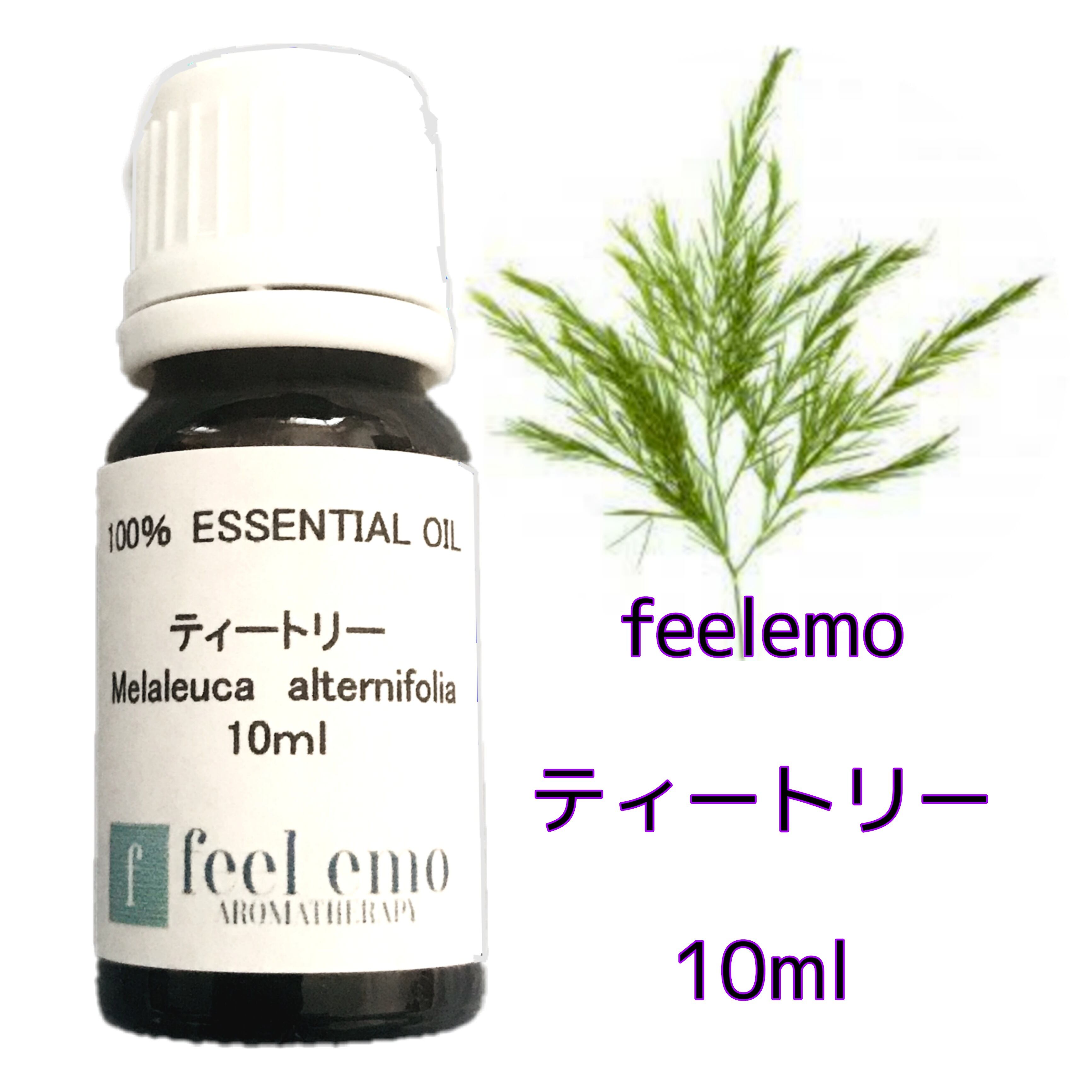 ｱﾛﾏｵｲﾙ サンダルウッド 5ml (エッセンシャルオイル・精油) | ハーブと