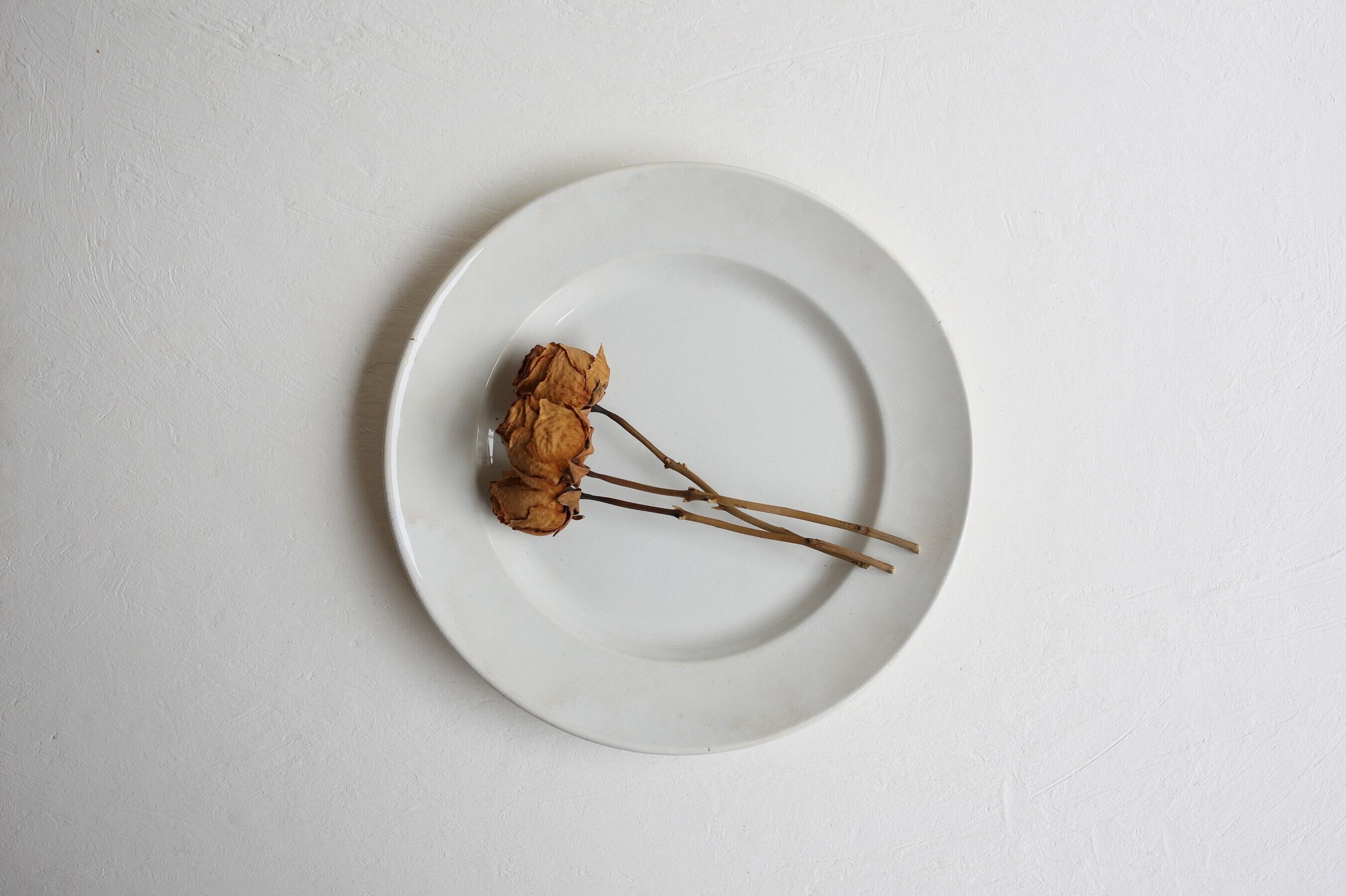 フランス食器⭐︎BOL PERSO.COM FRANCE⭐︎レア⭐︎新品未使用 dressinval-dish-