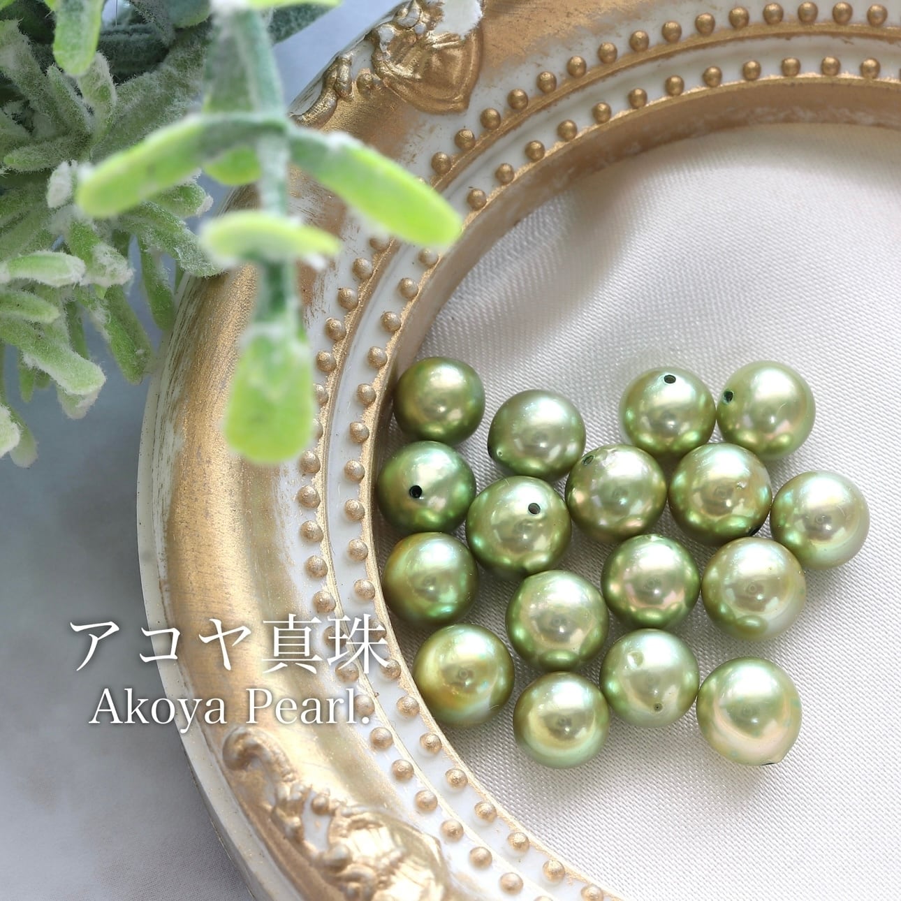 ★小山真珠★１円～現品限り！ピスタチオカラー大珠あこやＮＣ
