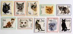 ねこ / ポーランド 1964