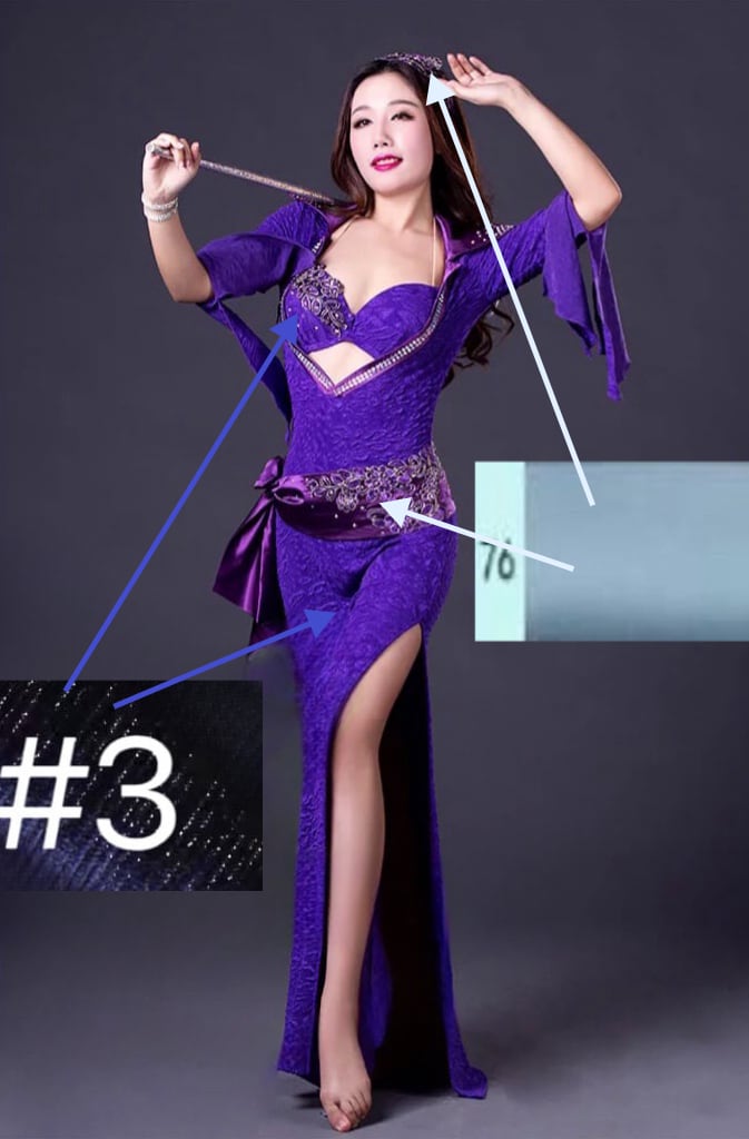 I様専用 ご注文窓口 オーダーメイド ベリーダンス衣装 サイーディ  