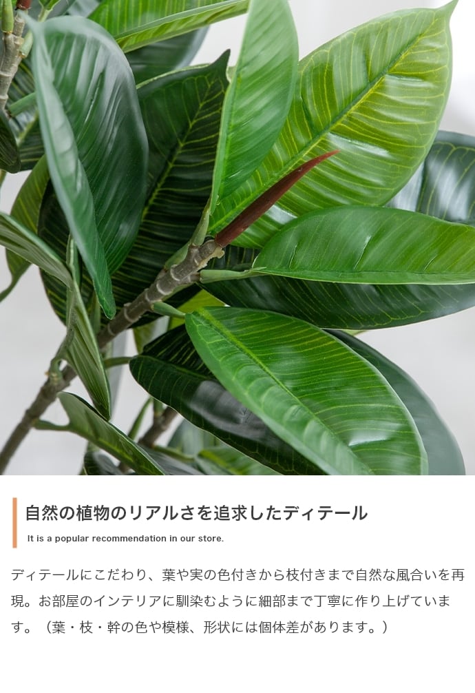 観葉植物 パキラ フェイクグリーン 光触媒人工観葉植物 高さ90cm | FIGARO