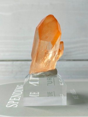 ゴールデンヒーラーズレムリアン