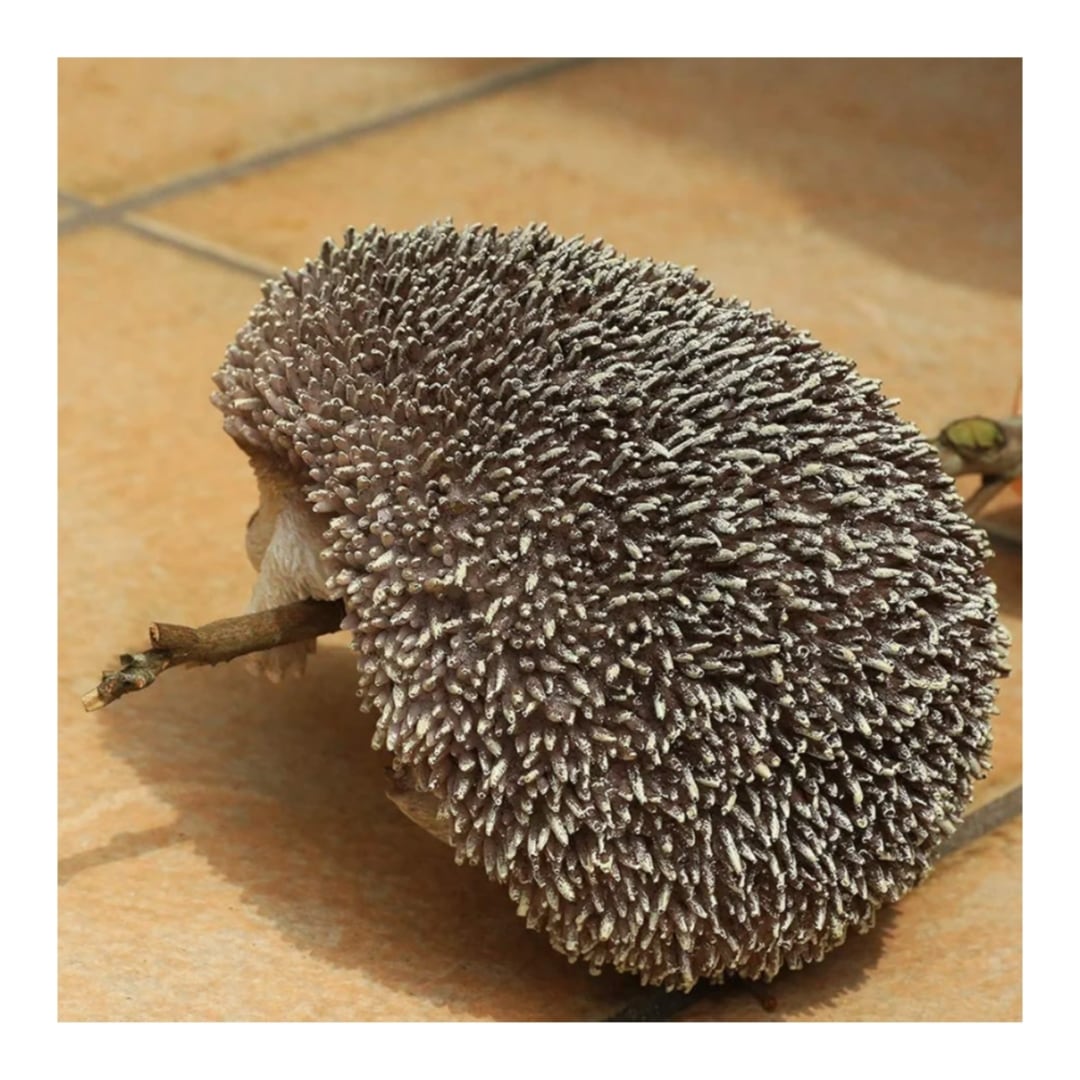 ハリネズミのオブジェ/針鼠/はりねずみの置物/C0pernicus | C0pernicus