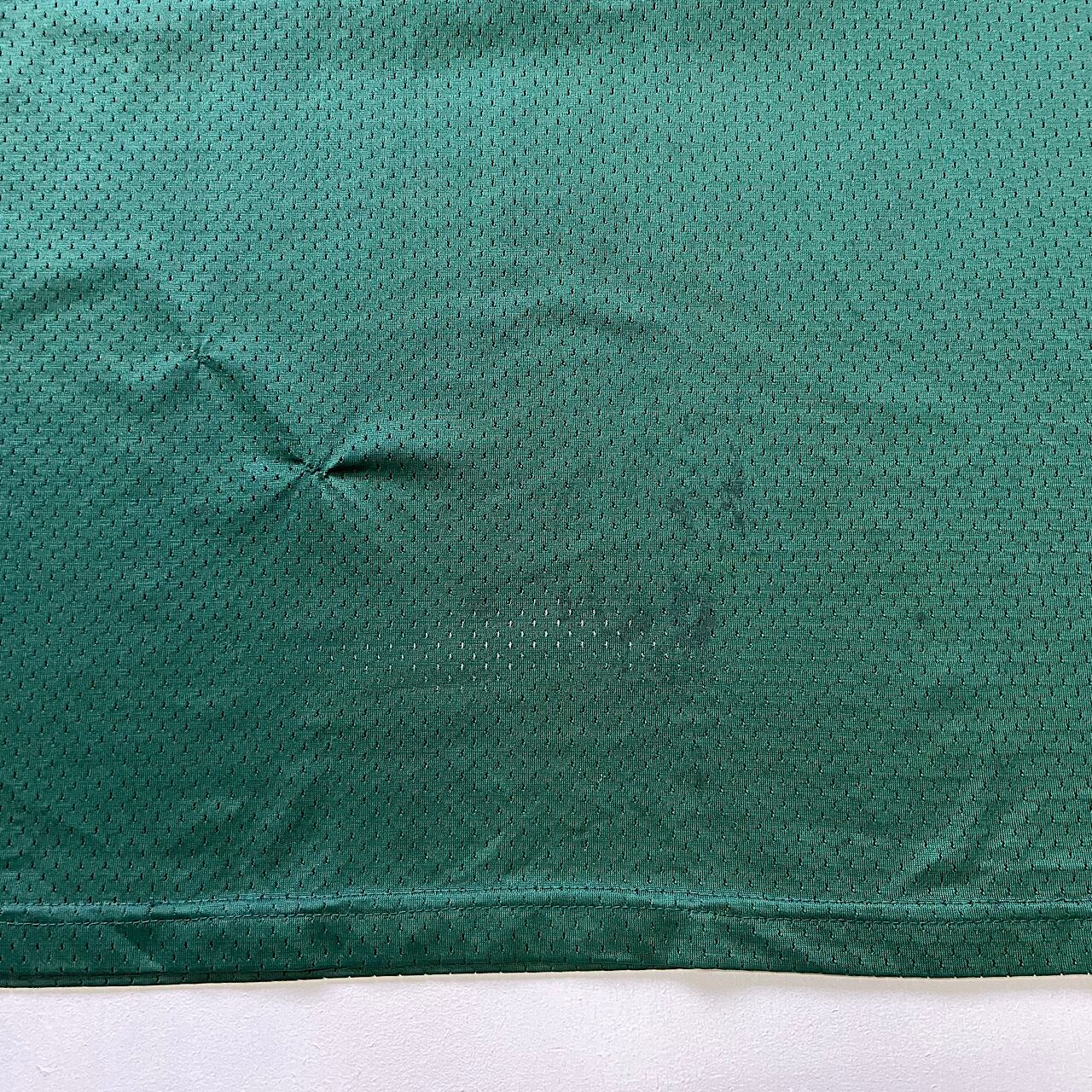 90年代 Champion チャンピオン NFL グリーンベイ・パッカーズ レジー