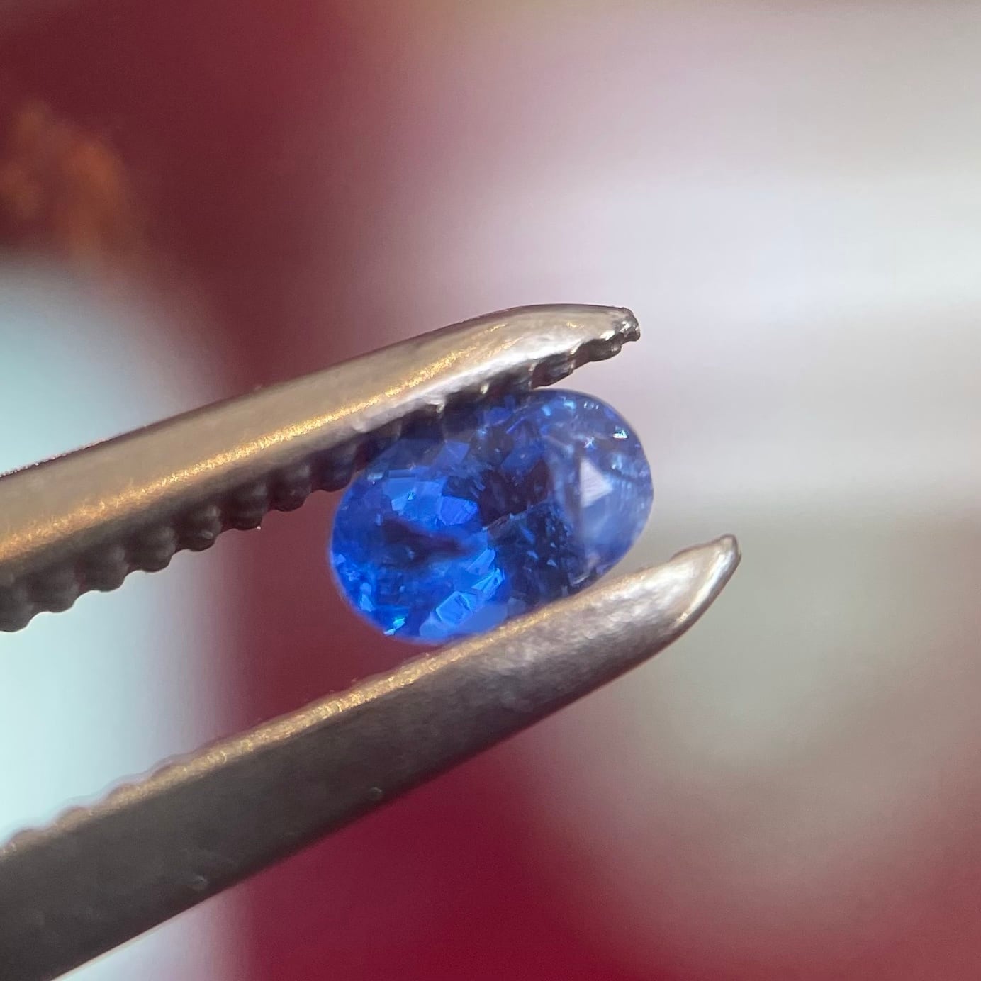 SKULL HEAD BUTT クレイジーコング ワンオフ コラボ塗装 RAMPAGE TOYS