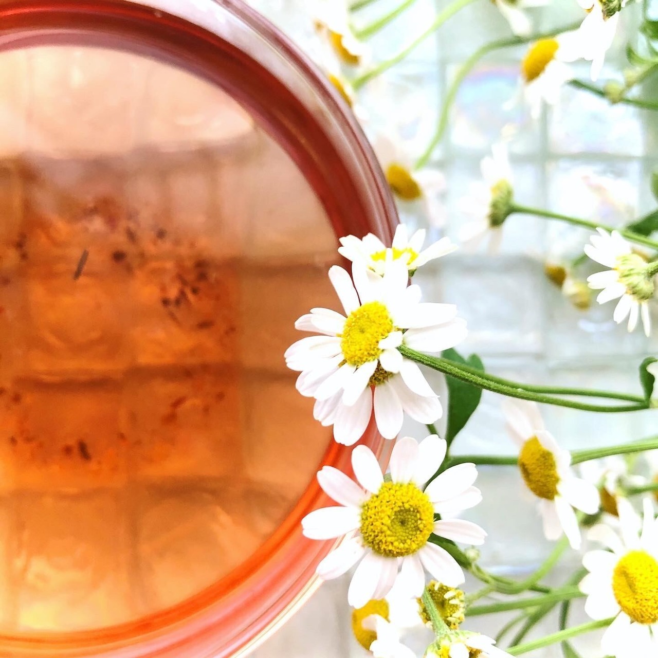 癒湯tea 〈酷暑対策tea 〉クーーール ビューティー COOOOOL BEAUTEA [リーフ33g] | オーガニックハーバルティー専門 ...
