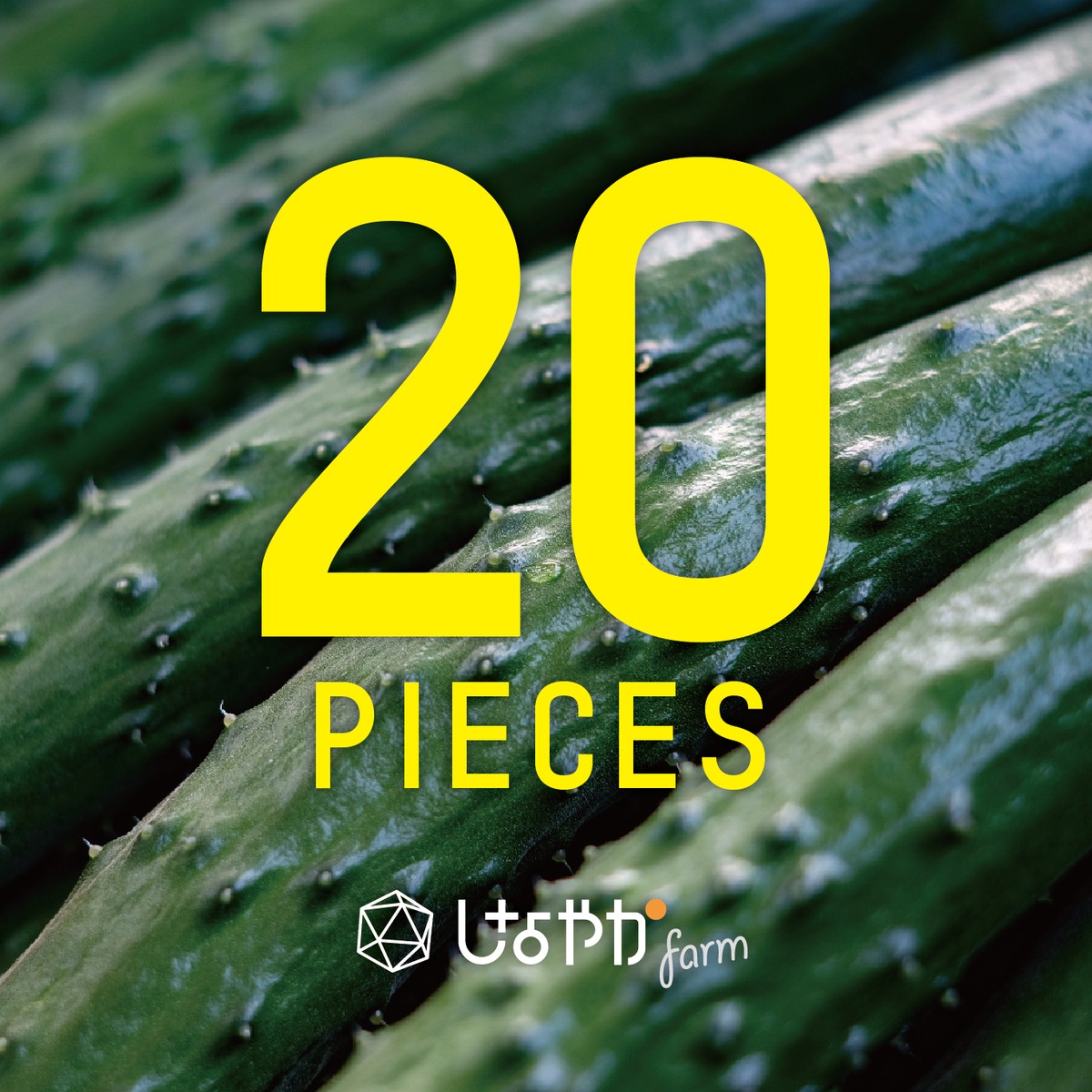 B級品 きゅうり 20キロ ファーム専用 B級品 きゅうり 20キロ ファーム専用 配達商品 きゅうり（B級品