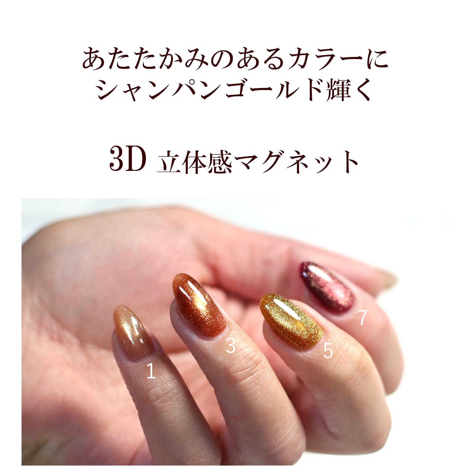 énoi ネイルカラー 12本セット マグネット énoi ネイルカラー 12本セット マグネット énoi ネイルカラー 12