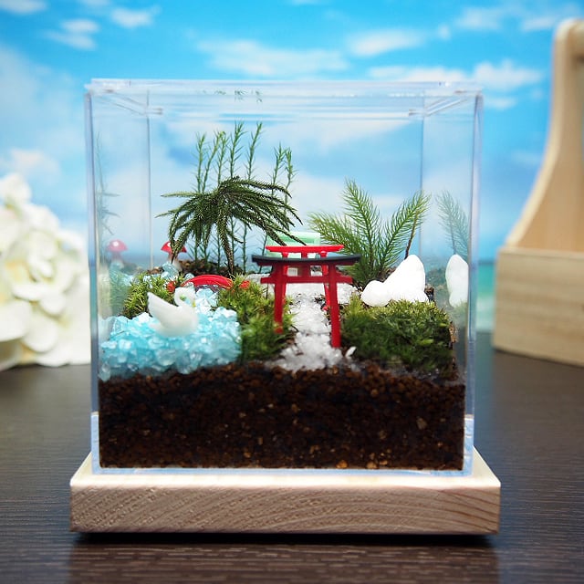 No.300 苔アート 苔テラリウム 完成品