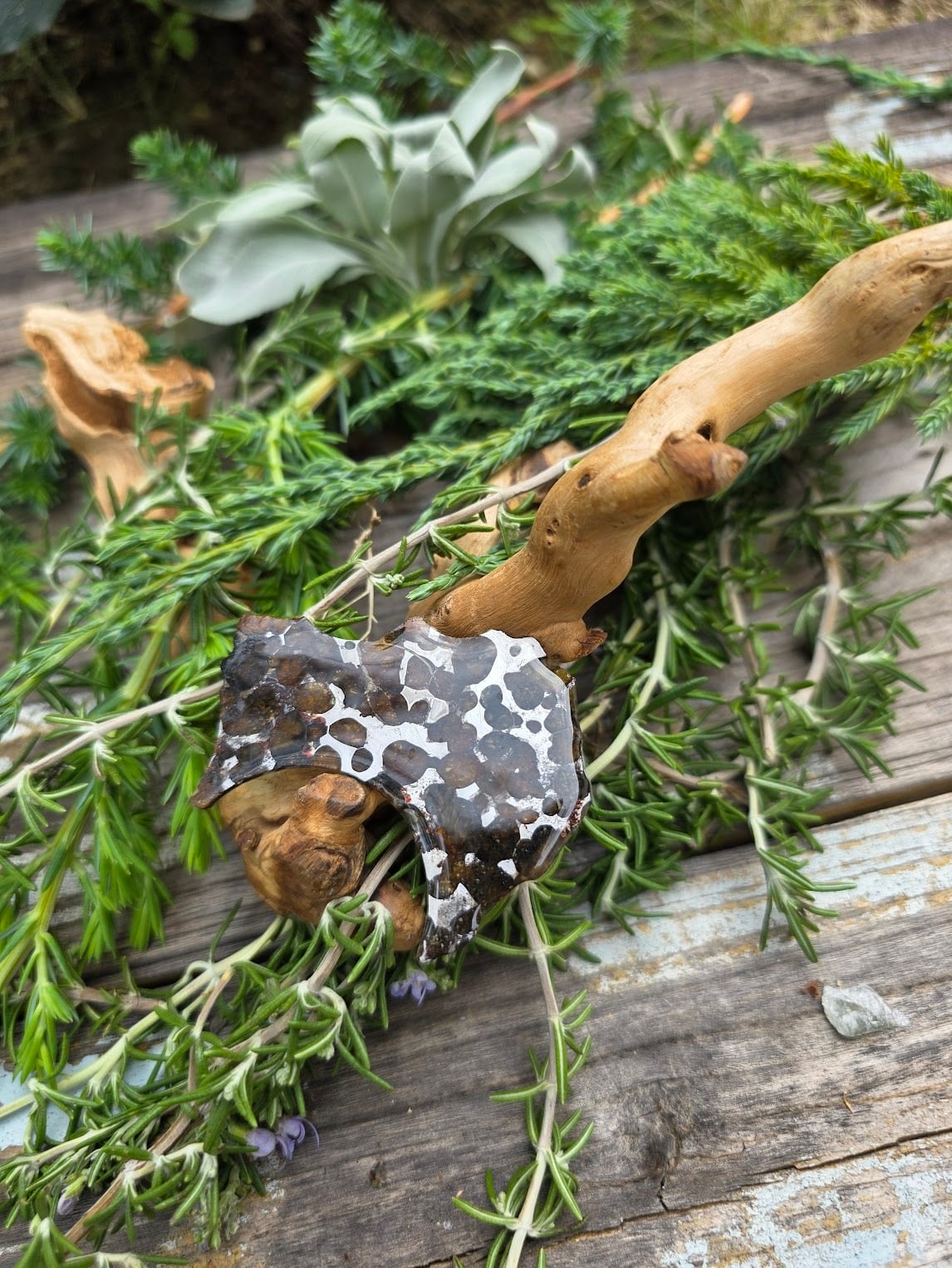 セリコ・パラサイト隕石｜手のひらの宇宙、青い静けさ | 日賀 Nichika