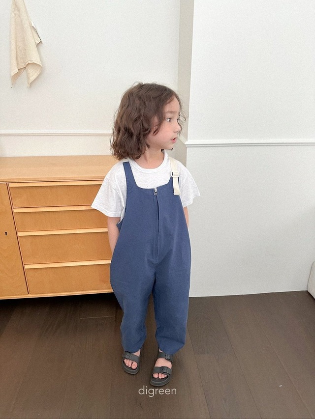 〘予約〙digreen / nova overalls