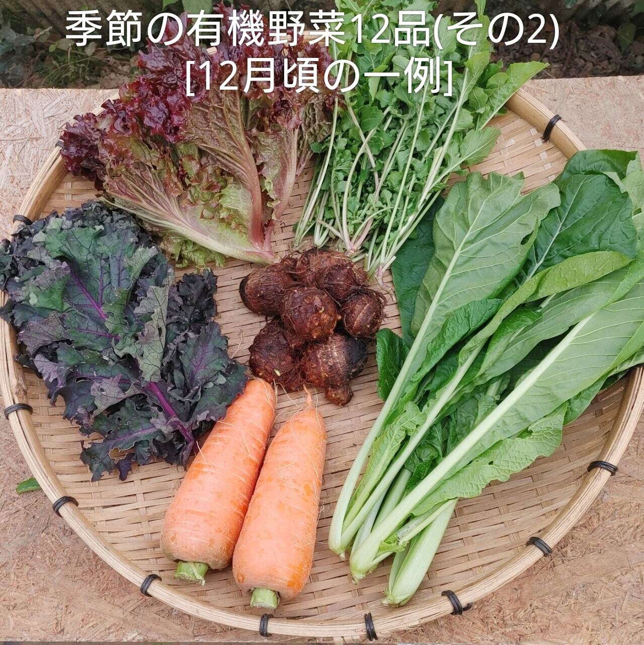 食品 AKEさま野菜