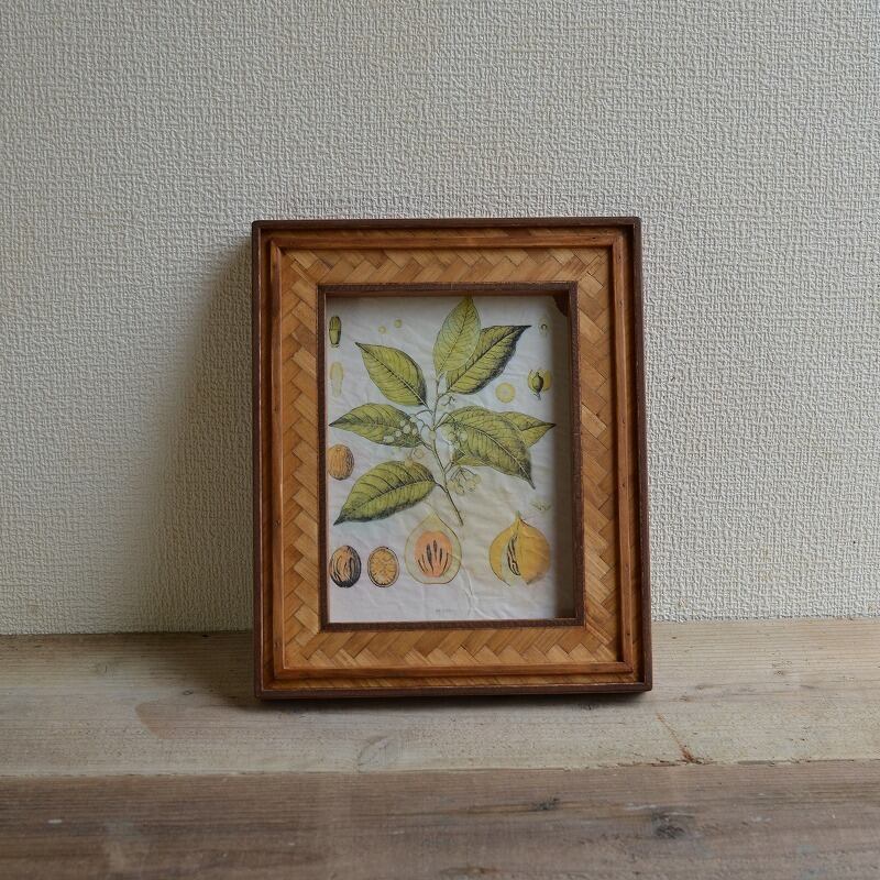 ヘリンボーンフレーム ポストカードサイズ Maltas Works