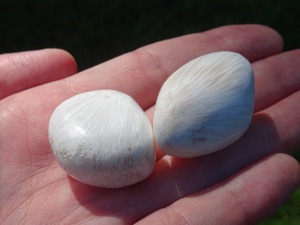 スコレサイト、2個セット