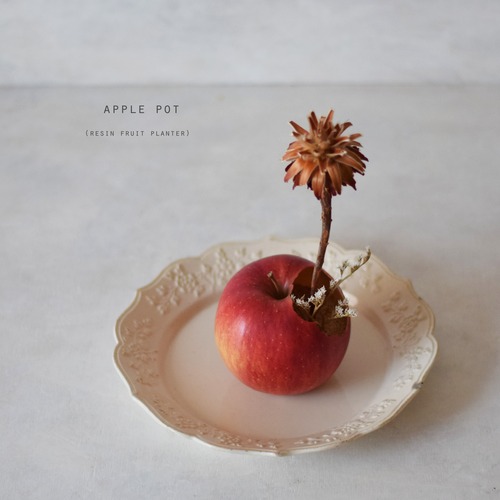 apple pot（ドライフラワー）