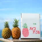 【完熟】ゴールドバレル3～3.5kg2玉セット
